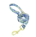 blue leash