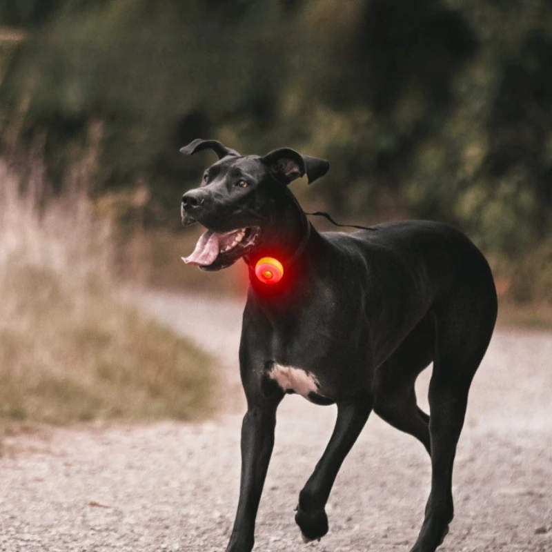 Luz de seguridad nocturna recargable para mascotas, resistente al agua, múltiples modos de iluminación, lámpara de Collar, uso de luz para mascotas, para caminar de noche en perros y gatos