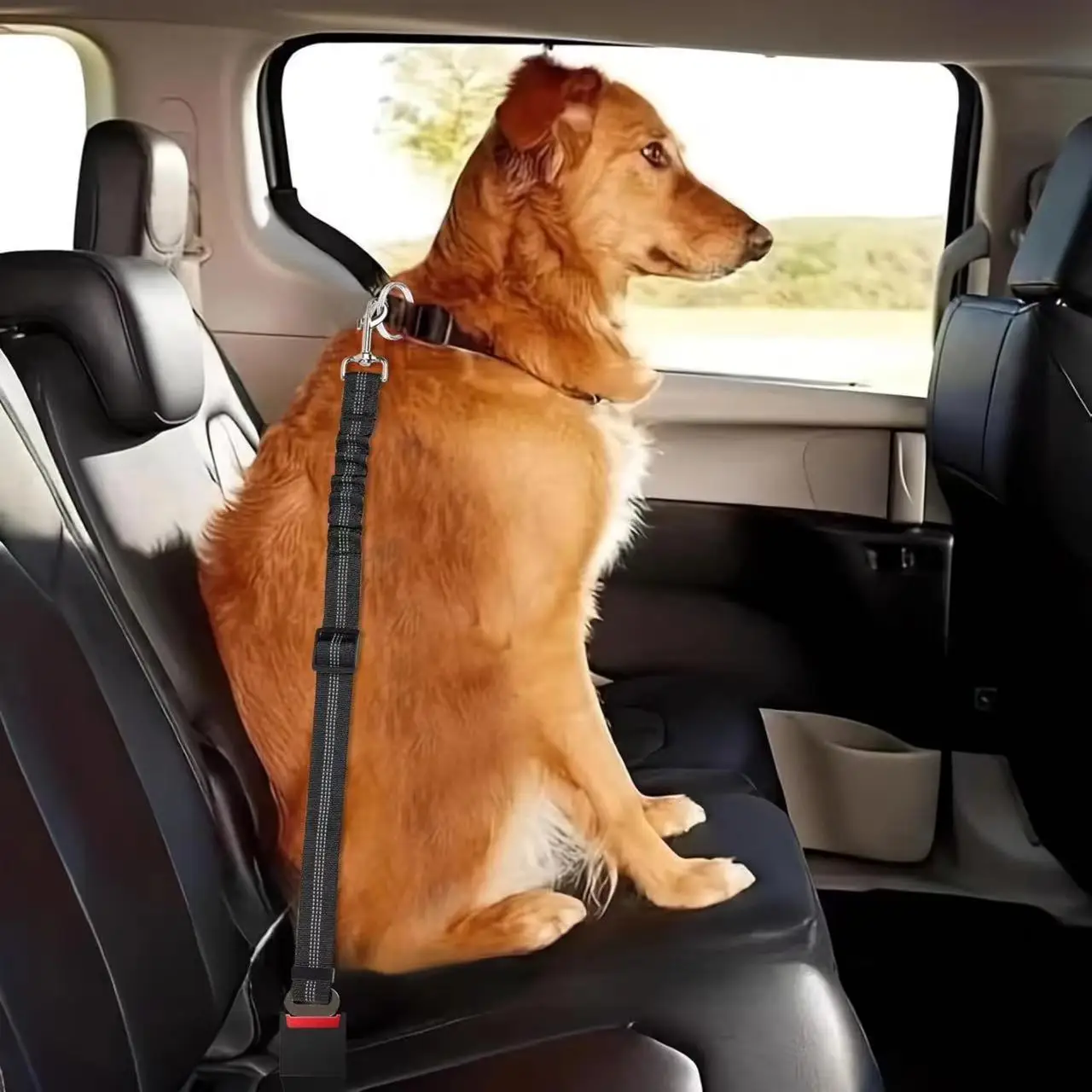 Cinturón de seguridad para perros, cinturones de seguridad ajustables para coche, cinturón de seguridad de nailon para mascotas con amortiguador elástico, reflectante y duradero - imagen 3