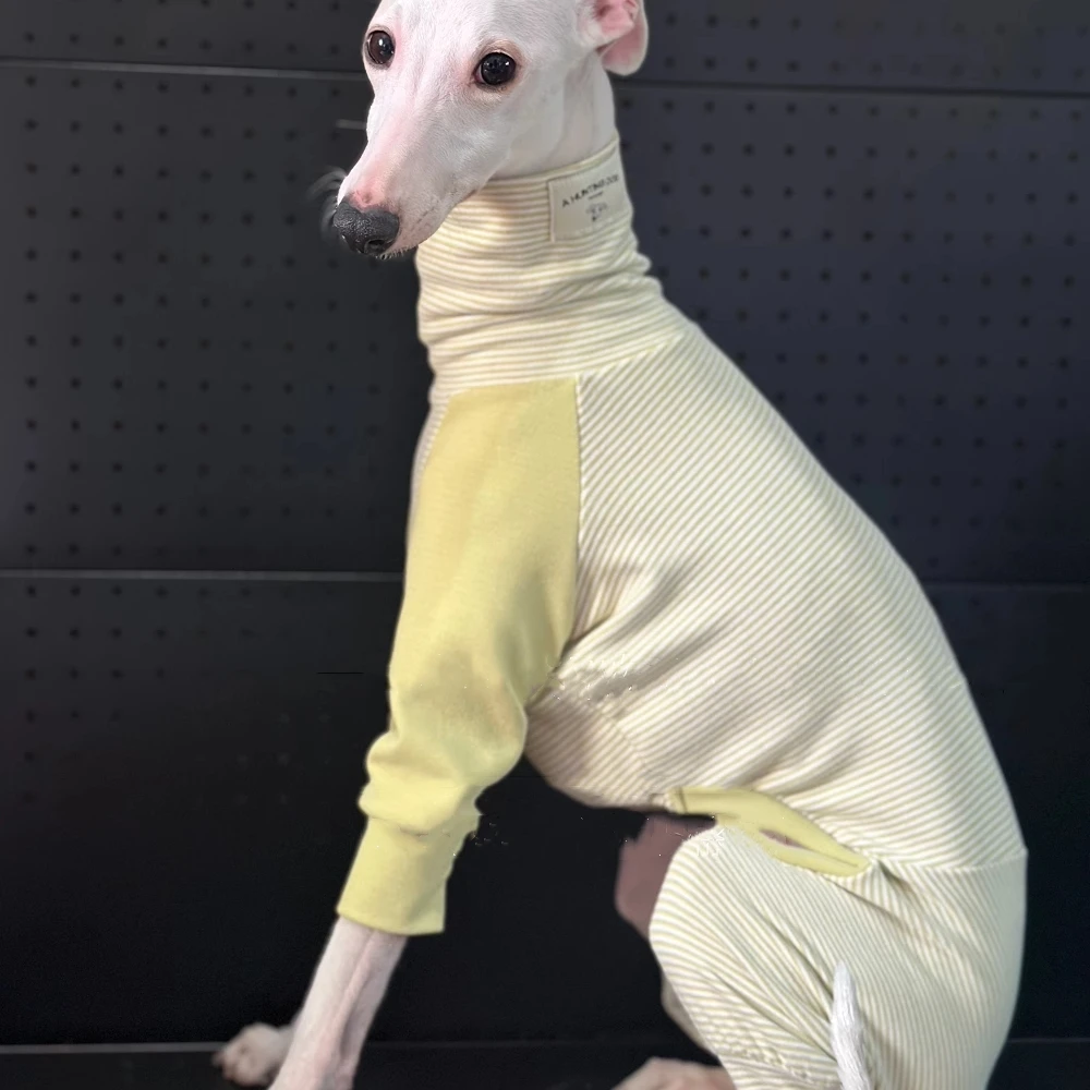 Mono de algodón pelado verde para perros, abrigo elástico de primavera de 4 patas para Bedlington Little Greyhound, pijamas de invierno de cuello alto - imagen 4