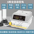 6 dual batteries