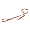 brown leash