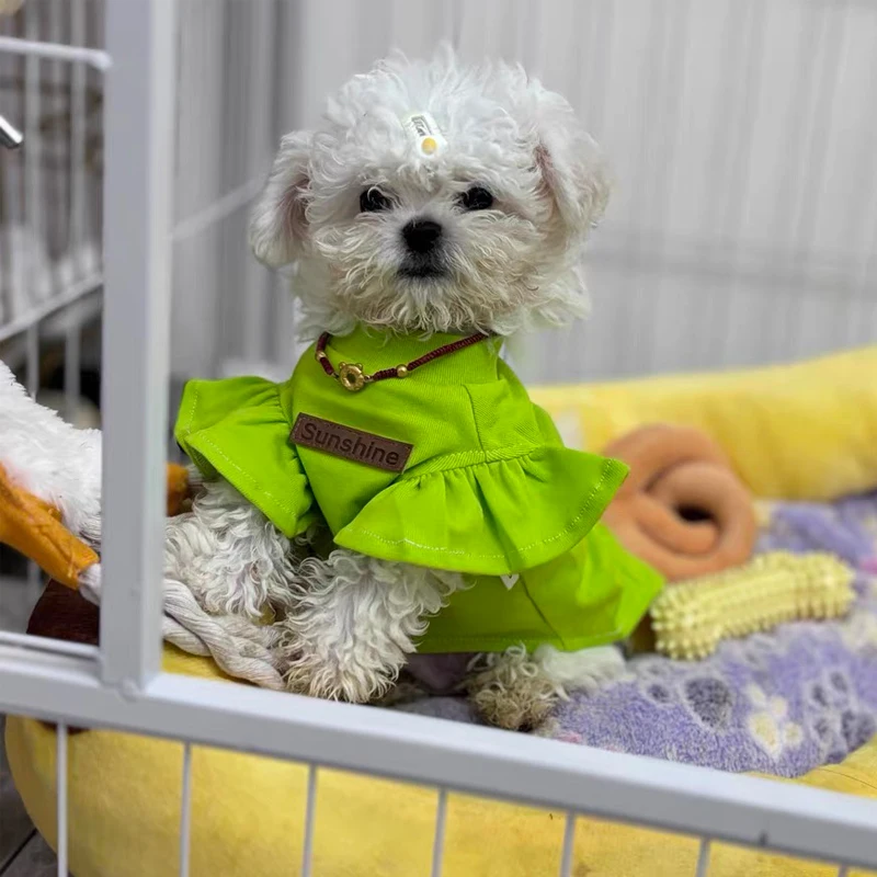 Ropa para perros pequeños de primavera y verano para Schnauzer Teddy YorkShire, disfraz sin mangas para perros, Jersey suave, traje para cachorros - imagen 5