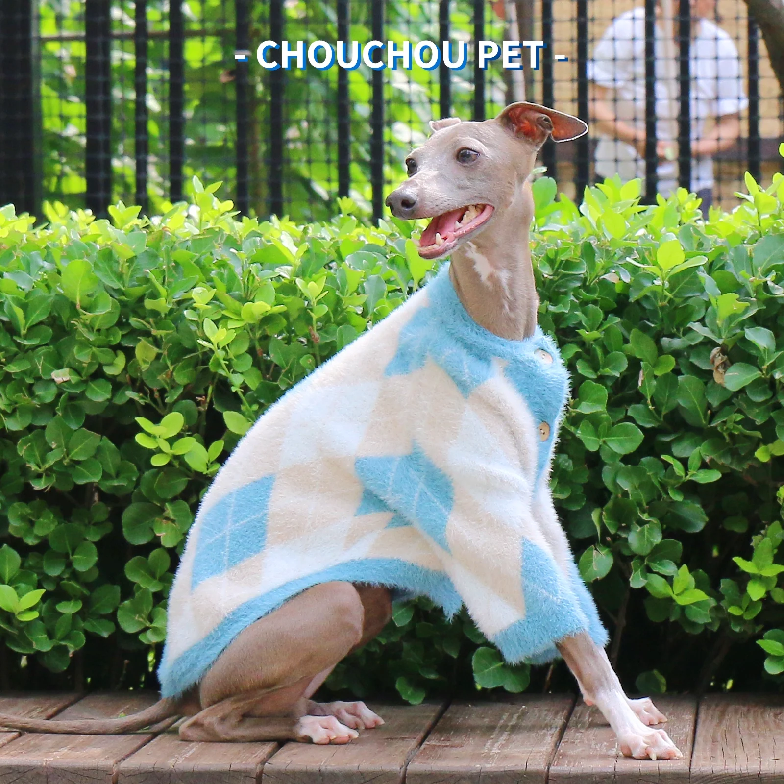 Nuevo suéter para mascotas de otoño/invierno, patrón clásico de diamantes, elegante perro iggy de galgo italiano ​ ​ suéter. - imagen 5