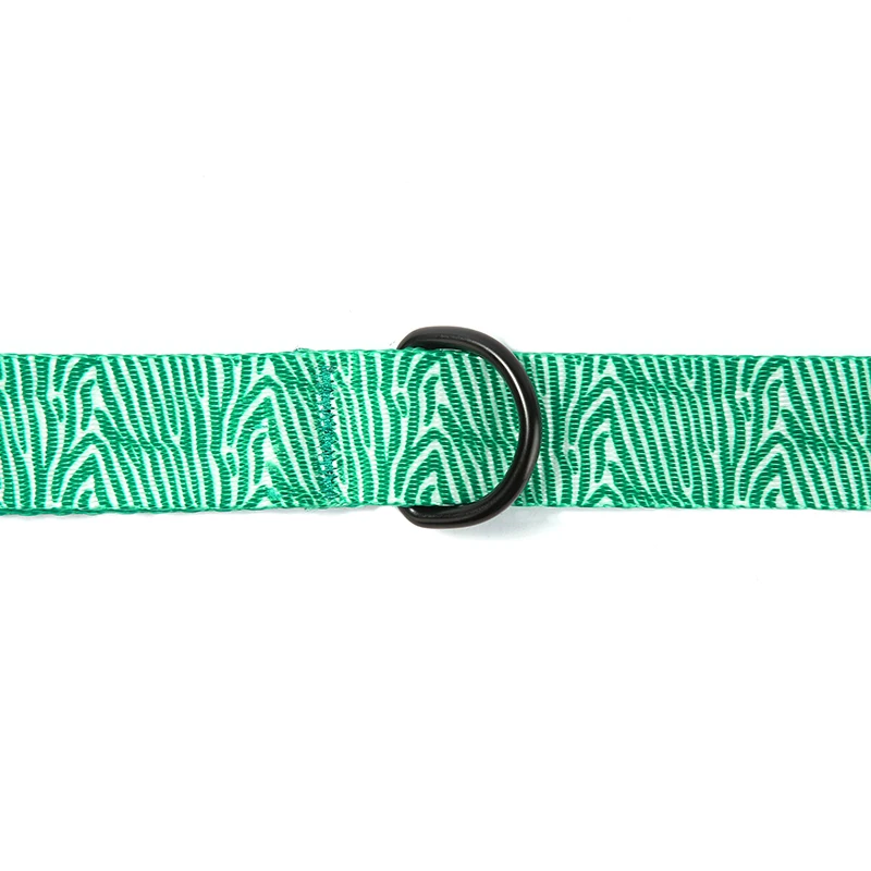 PLATTCO correa de perro de nailon de imitación de CEBRA VERDE personalizada privada perfecta para caminar todo tipo de perros 5 tamaños PDL333 - imagen 2