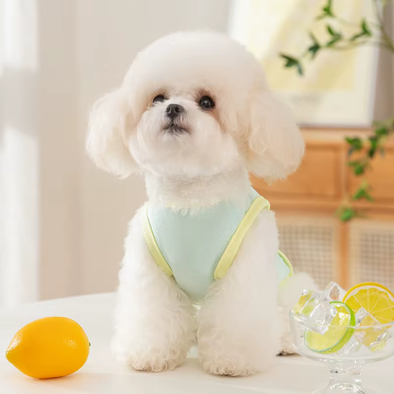 Ropa de verano para perros: camiseta refrescante con protección solar - imagen 2