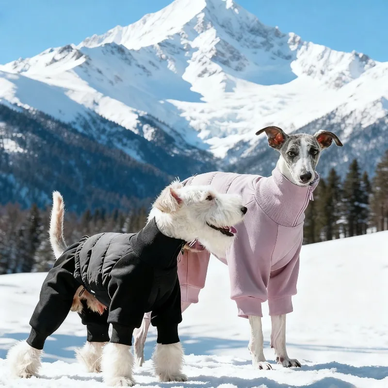 Abrigo de invierno para perros Whippet y Fox Terrier