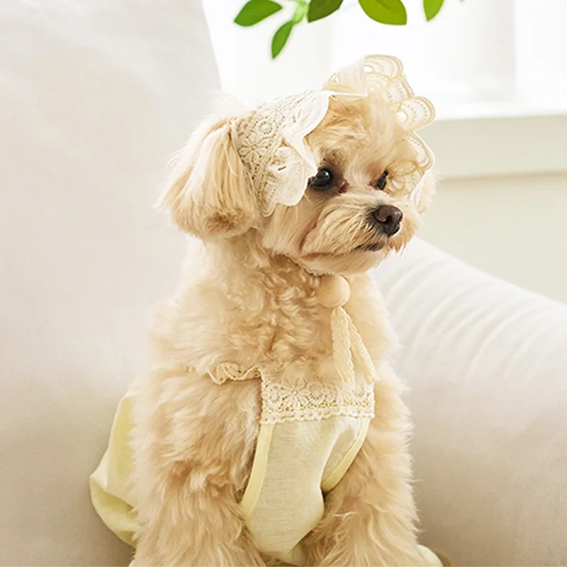 Camiseta sin mangas para mascotas, mono transpirable de dos piernas para perros y gatos, oso de peluche, ropa para perros, sombrero de encaje, ropa para cachorros, primavera/verano - imagen 2