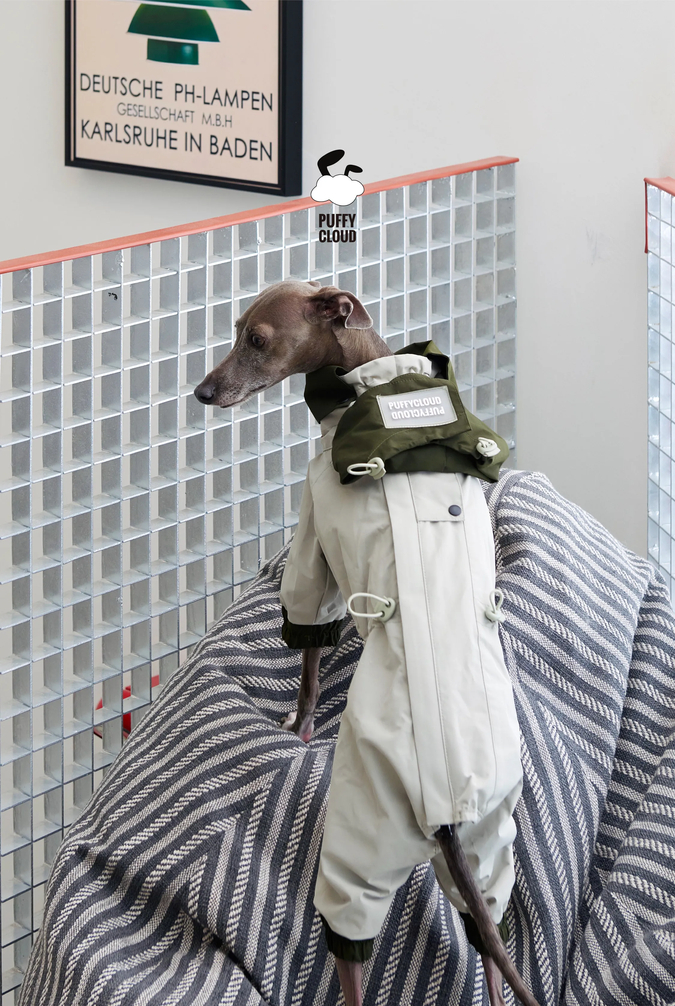 Vista frontal de la chaqueta para perro
