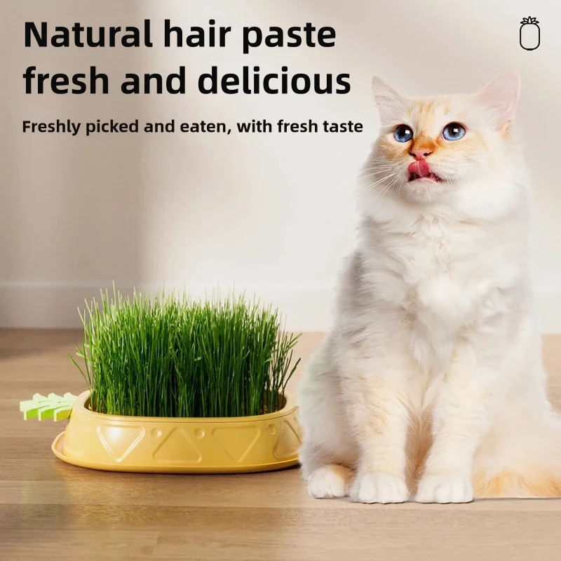 Macetero hidropónico de hierba para gatos, bandeja para macetero de hierba para gatos, diseño de piña, bandeja para germinación de plantas, maceta para cultivo de hierba de trigo, vivero para gatos - imagen 4