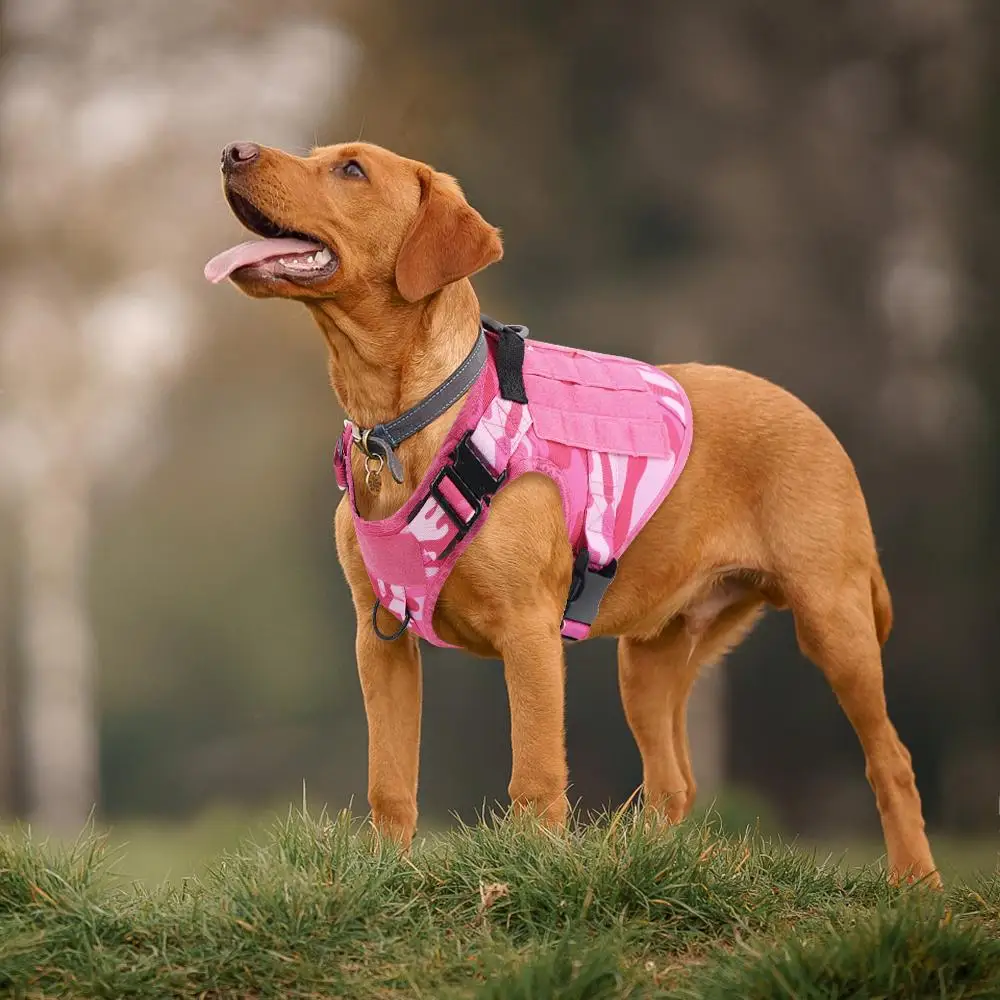 Arnés táctico rosa camuflado para perros – sin tirones y ajustable - imagen 4