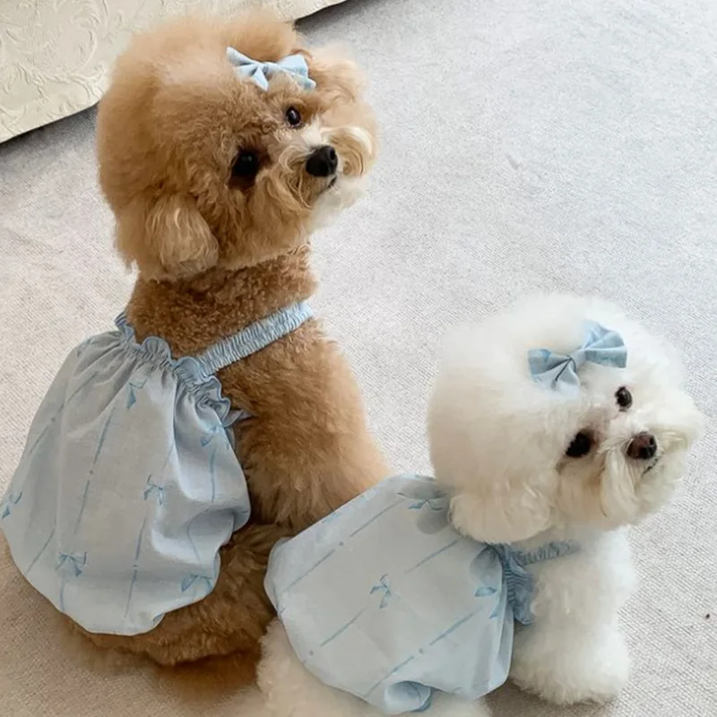 Falda de calabaza con lazo azul para mascotas, chaleco con tirantes de princesa y flores, ropa para perros pequeños y gatos, falda fina de verano para perros y gatos - imagen 2