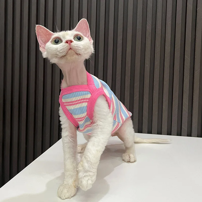 Ropa de gato sin pelo Sphinx de primavera para gatos, chaleco a rayas sin mangas, camisa para cachorros y gatitos, Camiseta de algodón, pijamas bonitos, ropa para mascotas - imagen 3