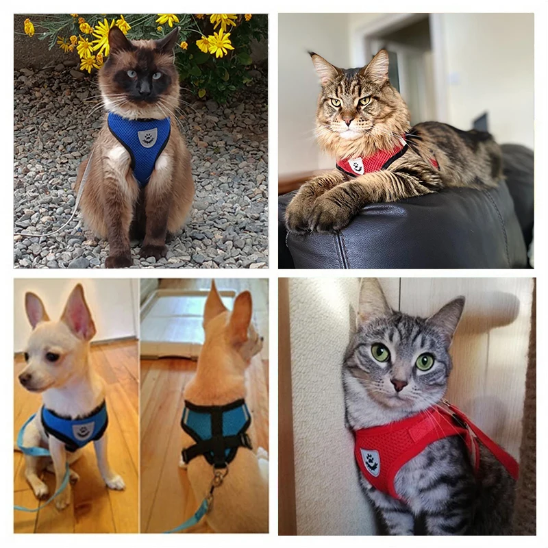 Arnés ajustable para gato, juego de cuerda de tracción para caminar, Collar de perro, malla transpirable para gato pequeño y mediano, plomo para mascotas - imagen 2