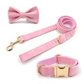 bow collar leash