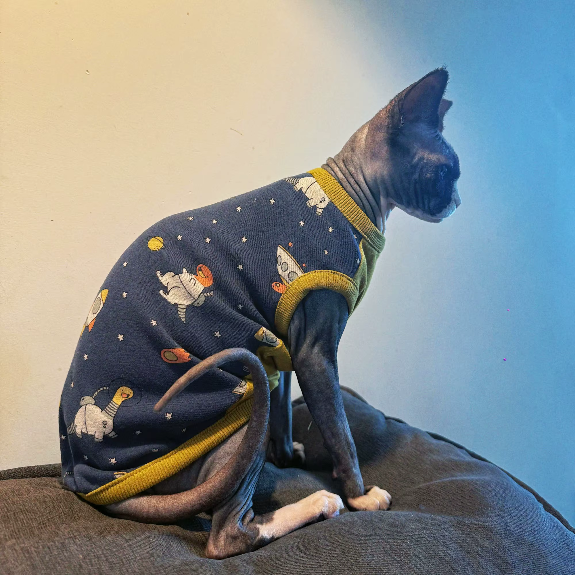 Camiseta sin mangas azul gato Sphynx estampado dinosaurio otoño - imagen 2