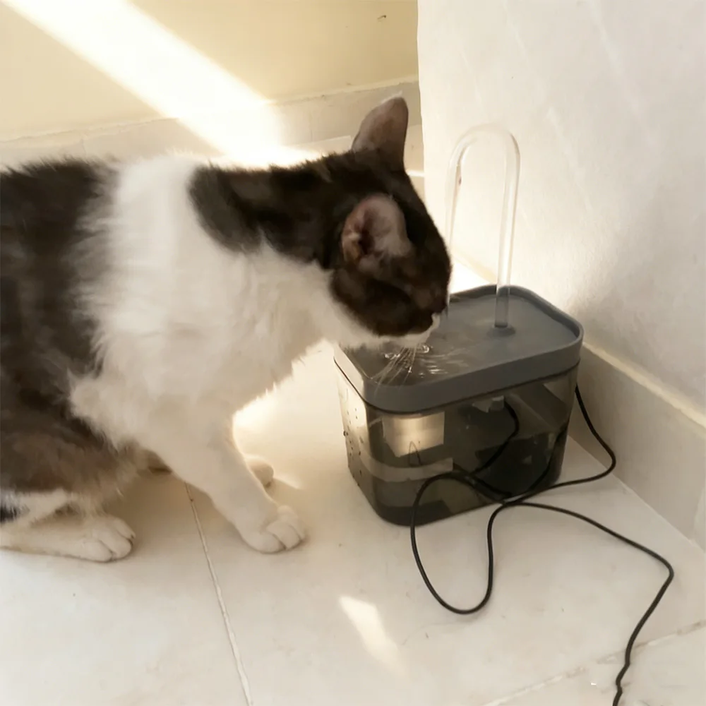 Fuente de agua para gatos y cachorros de 2,5 L, fuente para mascotas de gran capacidad para interiores filtrada con bomba ultrasilenciosa, perfecta para familias multimascotas