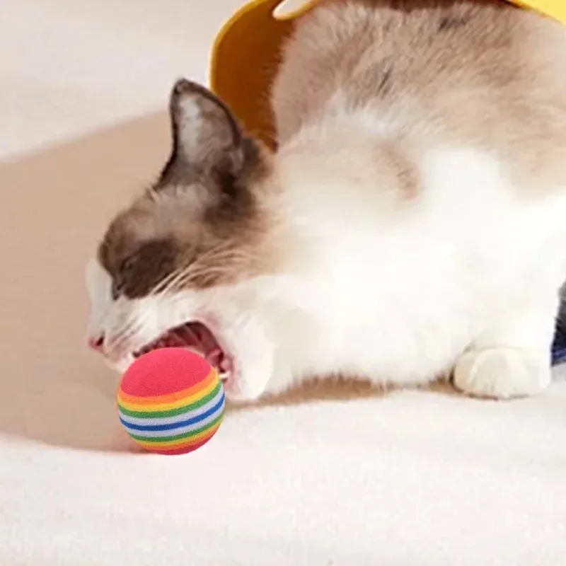Pelotas de EVA para gatos y cachorros - Juguete interactivo arcoíris - imagen 2