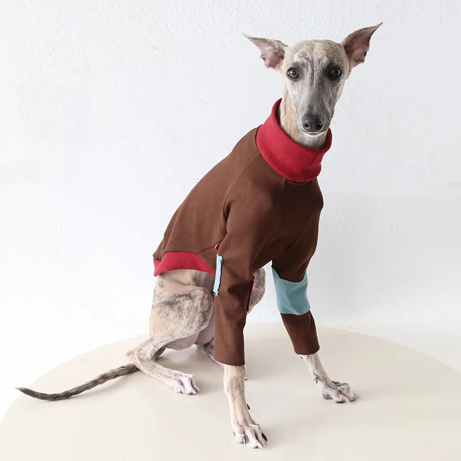 Suéter de punto de invierno para perros Whippet - Manga larga, cómodo - imagen 5