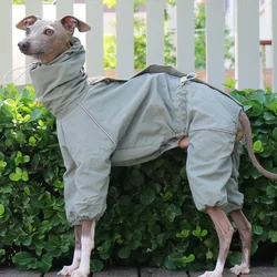 Chubasquero impermeable para galgo y whippet – Chaqueta de verano