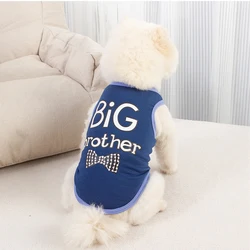 Chaleco verano sin mangas para perro mini Chihuahua – estampado letras