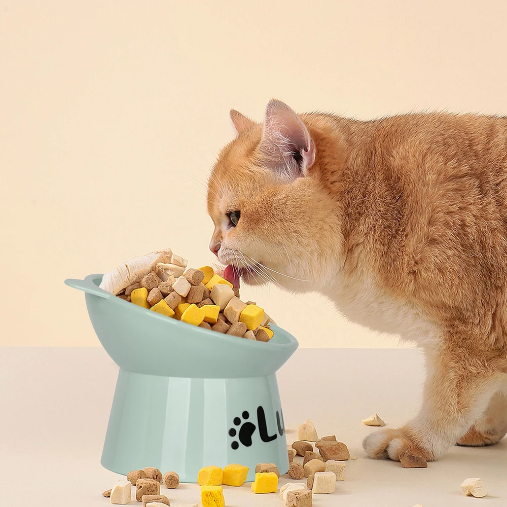 Cuenco de comida personalizado para gatos, cuencos para perros y gatos de pie alto, impresión gratuita, cuencos de agua para comida con nombre de mascota, taza de alimentación para mascotas, accesorios para gatos - imagen 4