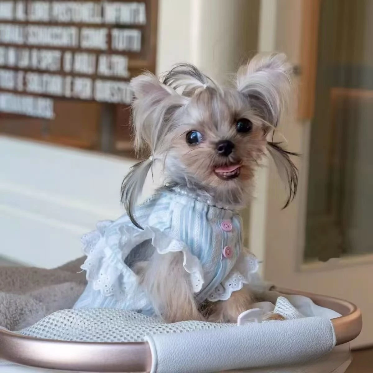 Vestido a rayas de primavera para gatos y perros pequeños - cómodo - imagen 2