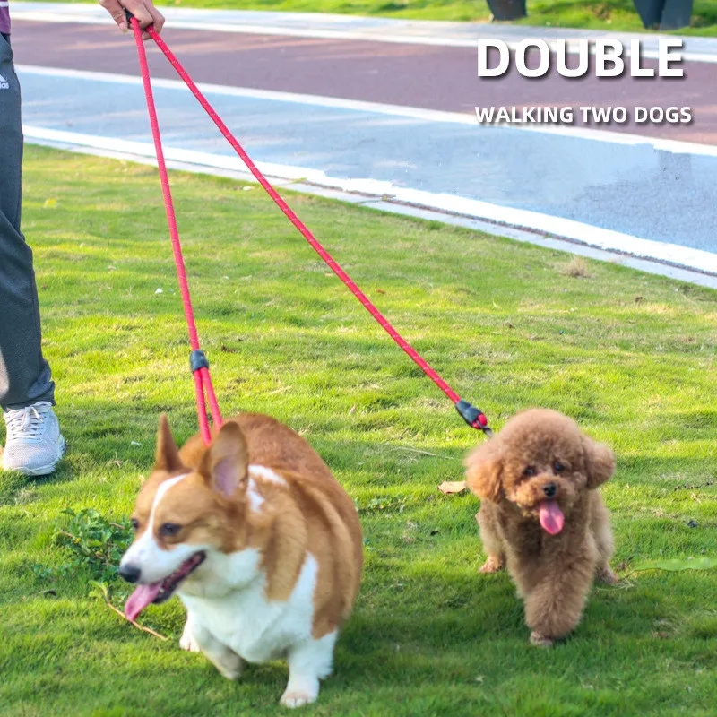 Correa para perro, correa para perros manos libres, correas impermeables de 3M de largo para caminar, correas reflectantes para perros de doble cabeza, cadena para mascotas de 3M - imagen 3