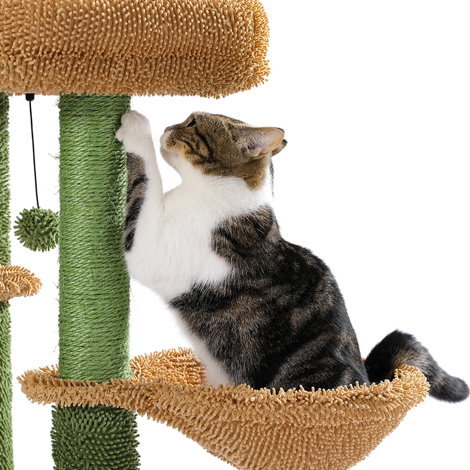 Árbol para gatos con cactus, torre para gatos con tumbona, condominio espacioso, perchas superiores, poste rascador de Sisal Natural, muebles para gatos, juguetes para gatos - imagen 5