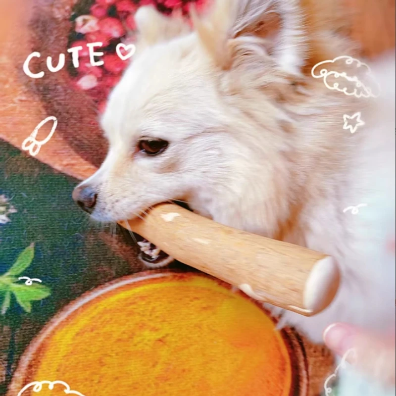 Palo para masticar para perros de madera de café Natural, juguete molar para cachorros para limpieza de dientes, alivio del aburrimiento y la ansiedad, juguete para masticar salud Dental - imagen 4