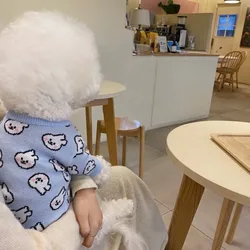 Suéter azul conejo para perro de invierno – Abrigo cálido
