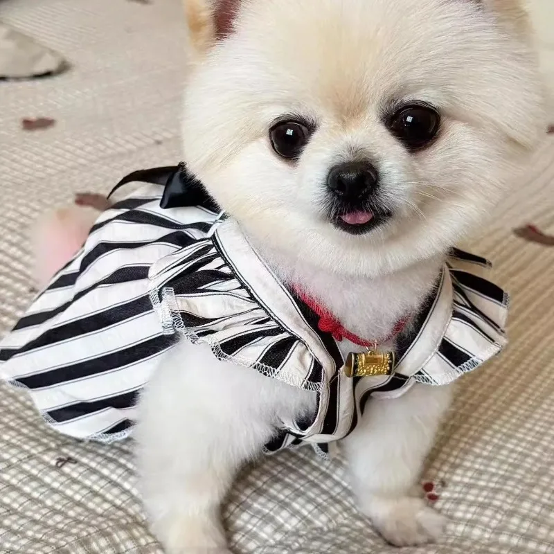 Vestido de verano a rayas para mascotas Ins, chaleco para gatos a la moda, vestido con tirantes y lazo a rayas, vestidos para perros pequeños, ropa para cachorros - imagen 5