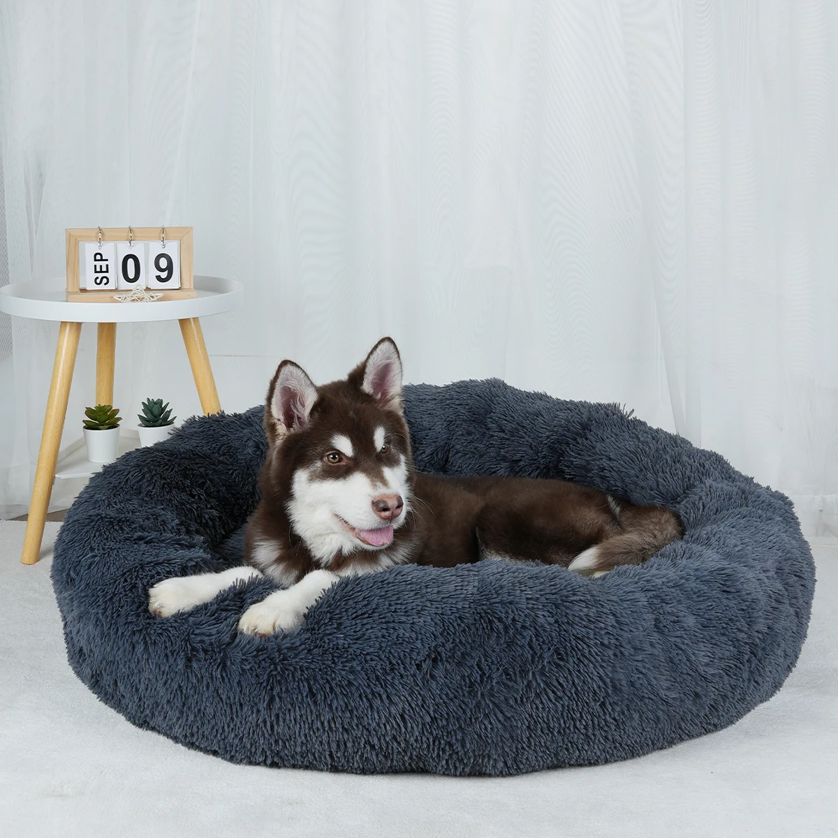 Cama de felpa para perros, Cama grande lavable para perros medianos y pequeños, accesorios de cesta, muebles para mascotas, sofá esponjoso, accesorios para perrera - imagen 4