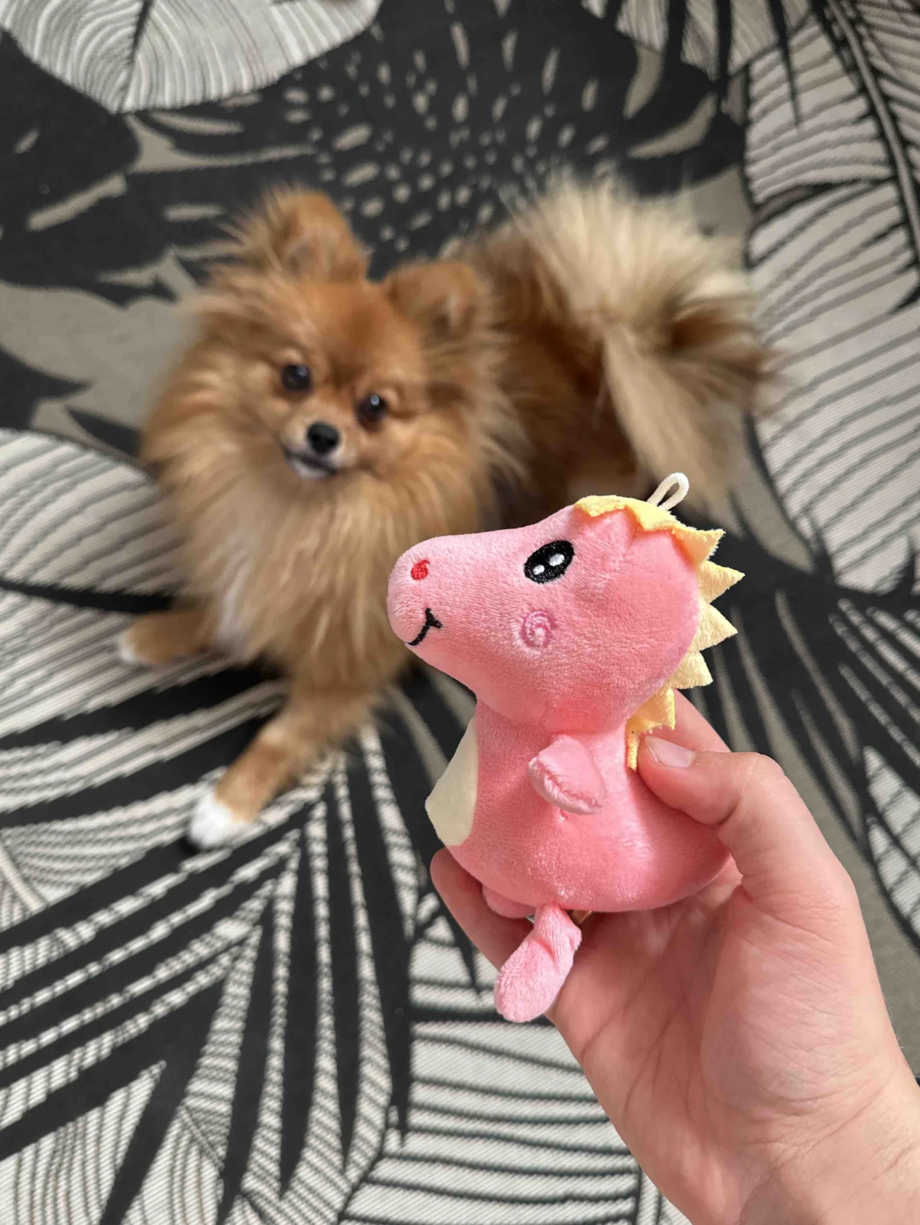 1 mini juguete de peluche para mascotas con forma de dinosaurio de dibujos animados, duradero y altamente interactivo - imagen 2