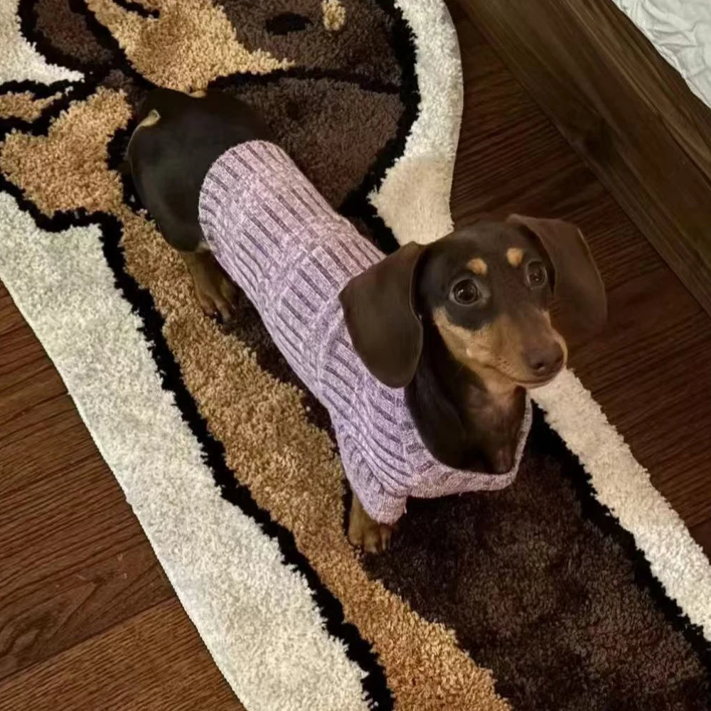 Ropa de pijama cálido para perros dachshund pequeños – púrpura