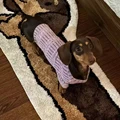 Puple