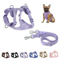 Arnés y correa para perro – set transpirable resistente