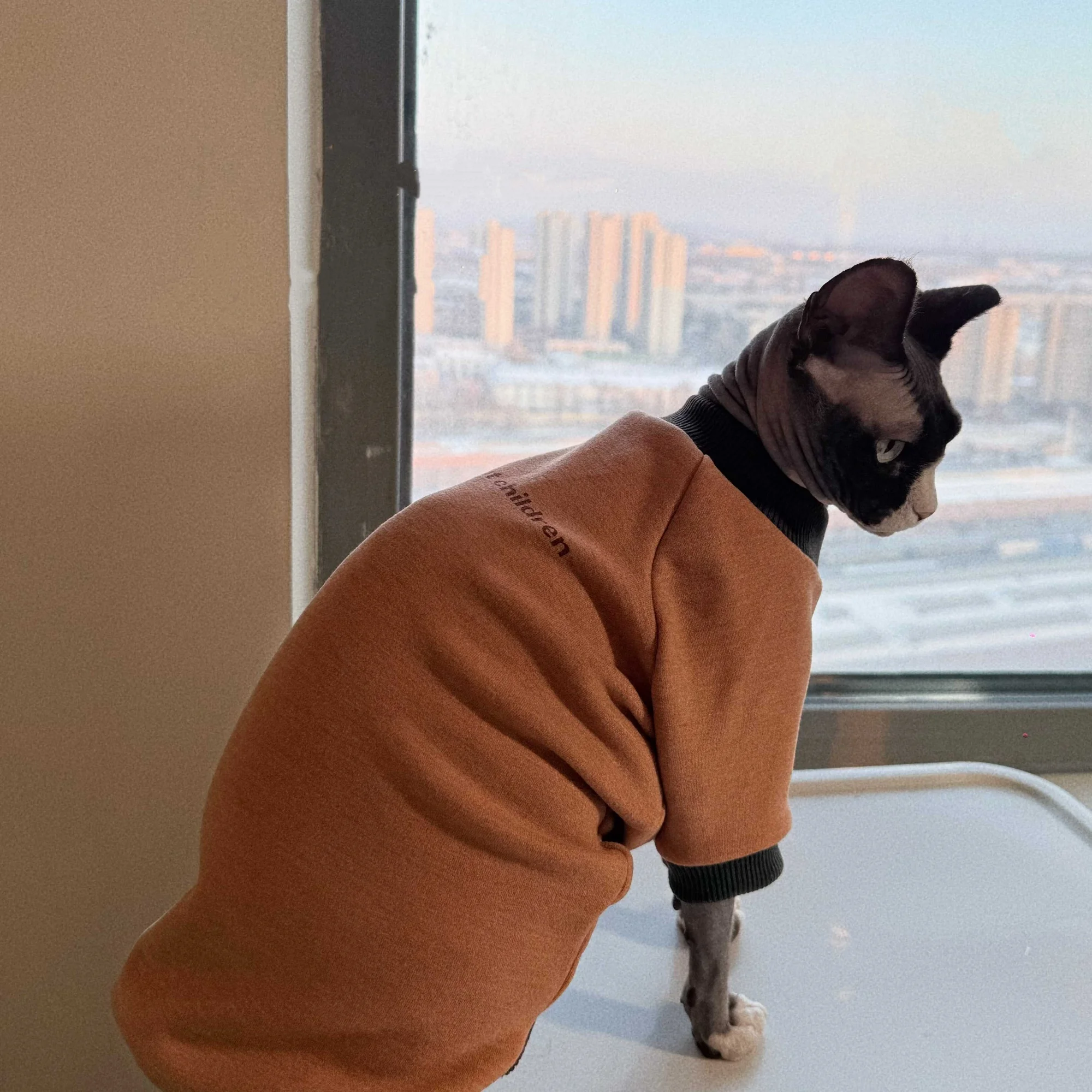 Mono suave invierno para gato Sphynx – Abrigo cálido de algodón - imagen 2
