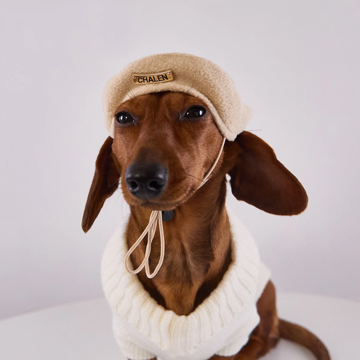 Boina de lana ajustable para perro Wiener – otoño invierno
