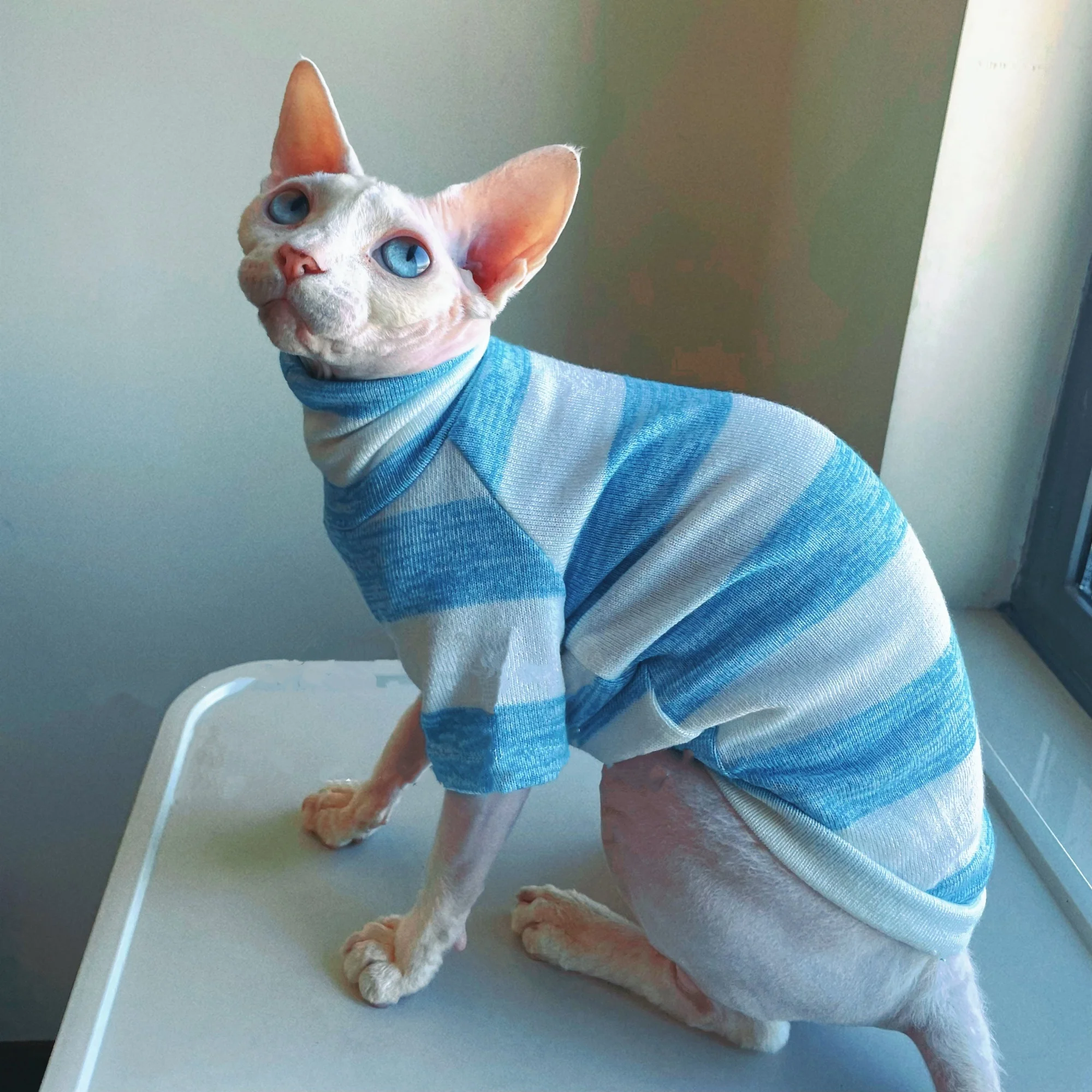 Camiseta de algodón de punto a rayas azules para gato Sphynx en otoño, camiseta interior elástica suave de cuello alto para Devon Rex en invierno