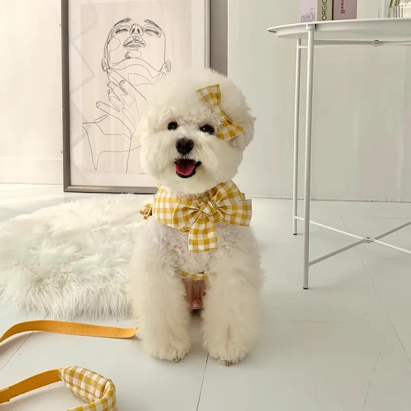 Chaleco a cuadros para perro y gato, traje de remolque con lazo a cuadros, oso de peluche, falda para exteriores, correa para el pecho, arnés de cadena para perro