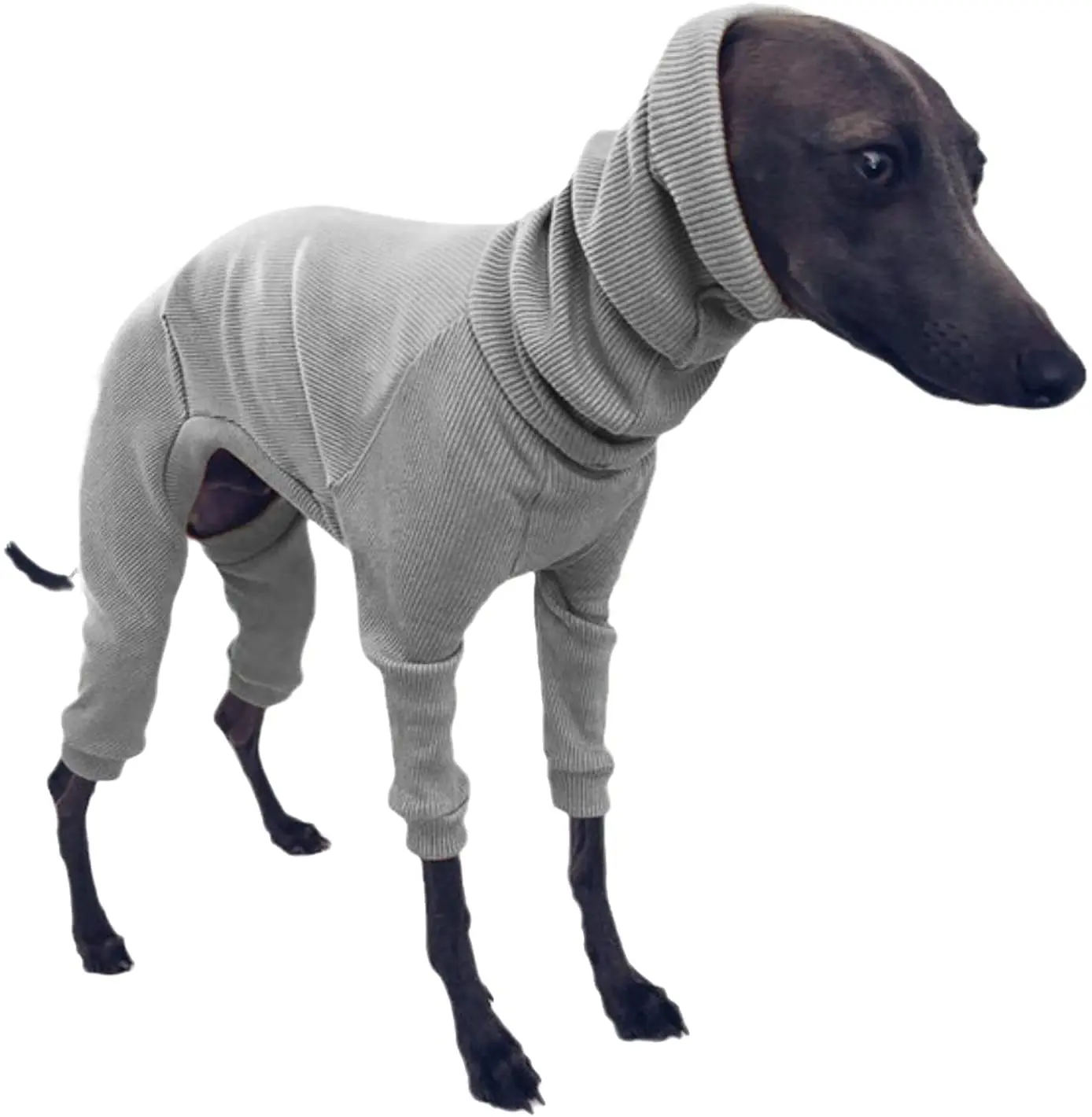 Ropa de galgo italiano Whippet, mono ligero para perros medianos y grandes, pijamas de cuello alto para mascotas, monos para pastor - imagen 2
