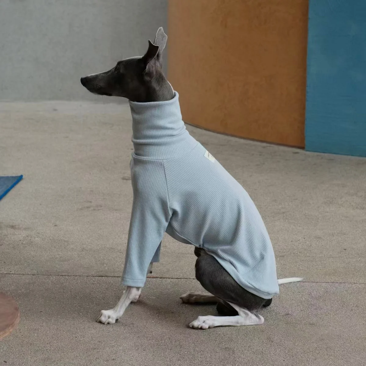 Ropa de primavera para Italia galgo otoño suave cuello alto algodón gris camiseta para Whippet invierno pijamas de manga larga para perros - imagen 3