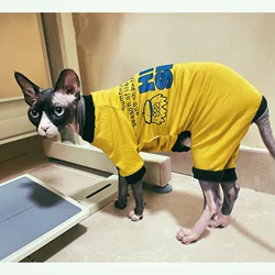 Camiseta de algodón para gato Sphynx y Devon Rex – Manga larga otoñal