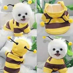 Sudadera disfraz de abeja para perros y gatos pequeños otoño invierno
