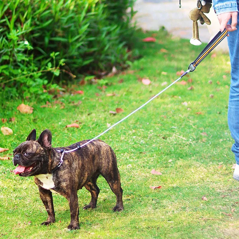Correa para perro, cadena P, correas para perros, correa de acero antimordida para caminar, cuerda P reflectante, correas para perros, cadena de entrenamiento para cachorros para mascotas - imagen 2