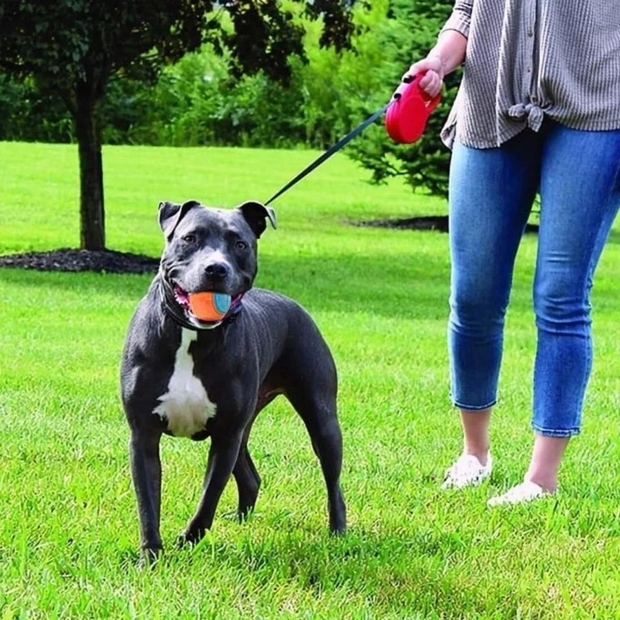 Juguetes para mascotas, pelota resistente a la molienda de dientes de perro, pelota para morder para perros, pelota de entrenamiento, juguete con sonido TDR - imagen 2