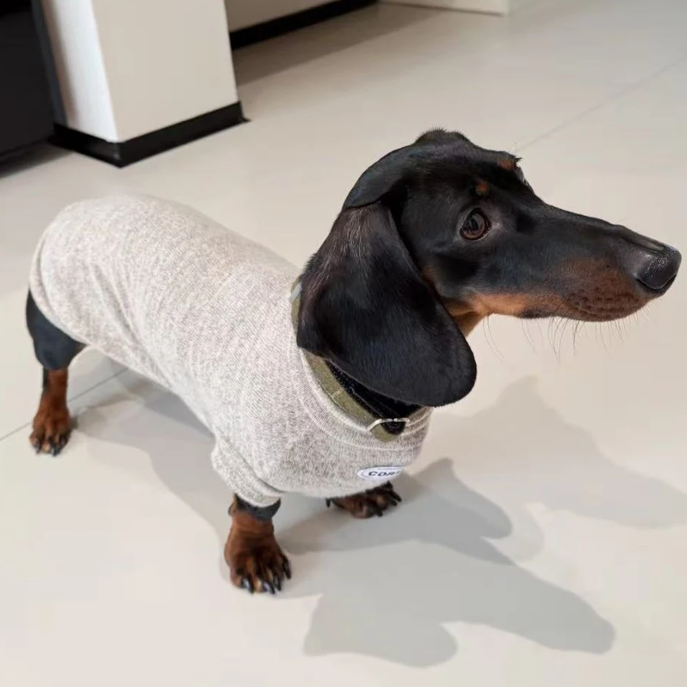 Suéter de lana para perros Wiener, camiseta interior suave para perros salchicha en invierno, abrigo cálido de manga larga para salchicha en miniatura - imagen 2