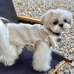 Cortavientos para perros pequeños Yorkie y Maltés – Otoño invierno