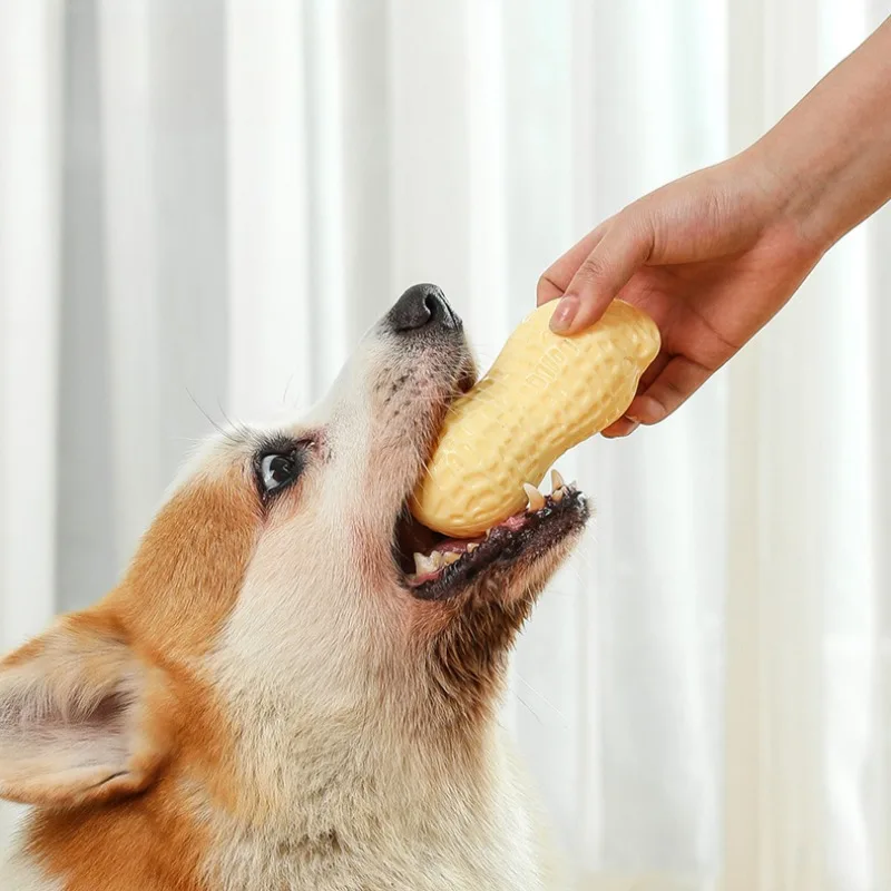 Juguetes para masticar dientes para perros, juguetes interactivos para interiores con forma de maní para mascotas, suministros para juego de cachorros y gatitos en casa - imagen 2